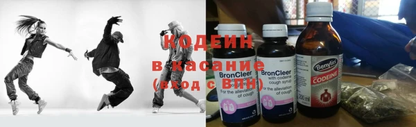 хмурый Липки