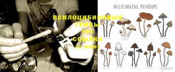 шишки Армянск