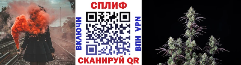 сколько стоит  Куртамыш  Конопля ГИДРОПОН 